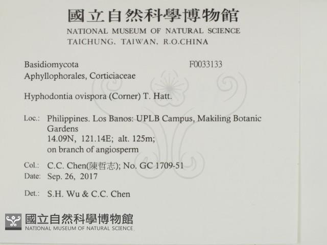 登錄號:F0033133藏品圖，第2張