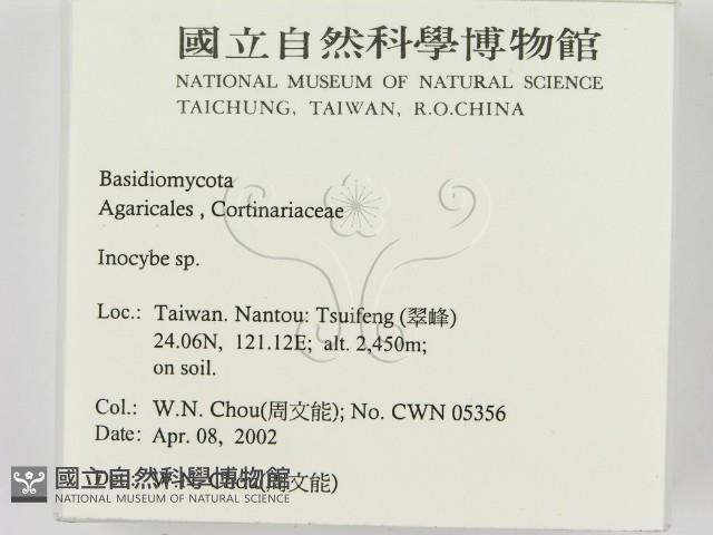 登錄號:F0016033藏品圖，第2張