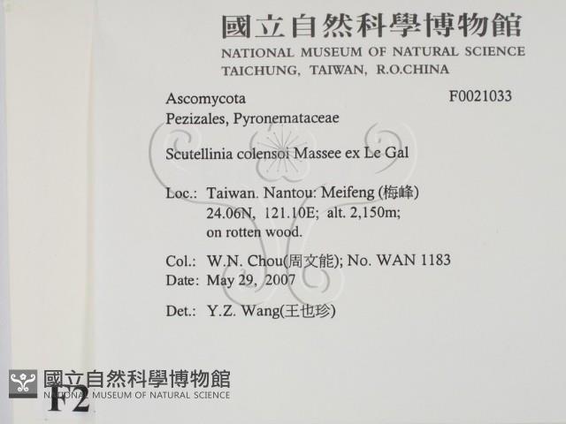 登錄號:F0021033藏品圖，第2張