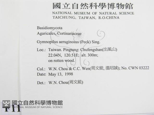 登錄號:F0011033藏品圖，第2張