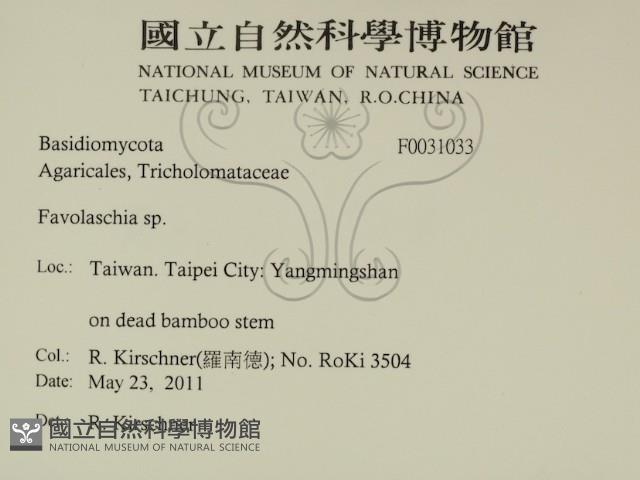 登錄號:F0031033藏品圖，第2張