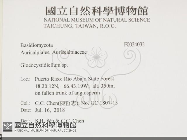 登錄號:F0034033藏品圖，第2張