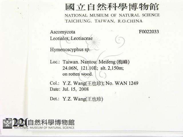 登錄號:F0022033藏品圖，第2張