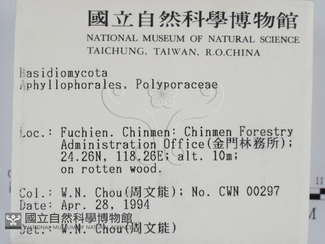 登錄號:F0002033藏品圖，第2張