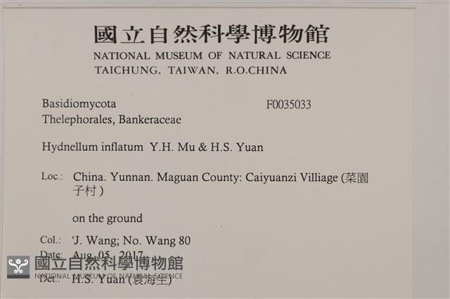 登錄號:F0035033藏品圖，第2張