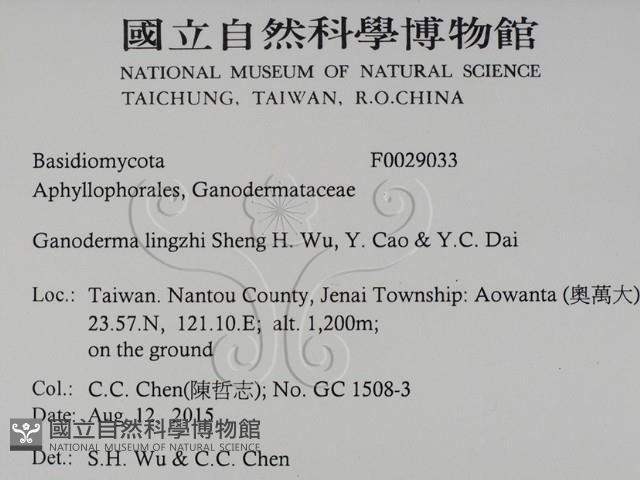 登錄號:F0029033藏品圖，第2張