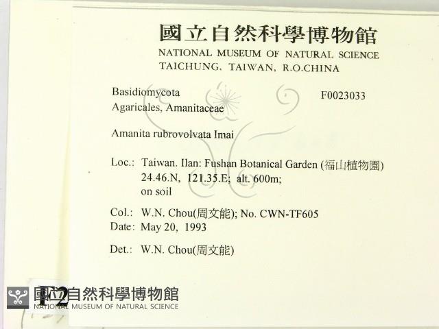 登錄號:F0023033藏品圖，第2張