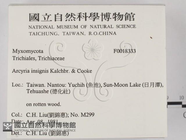 登錄號:F0018333藏品圖，第2張