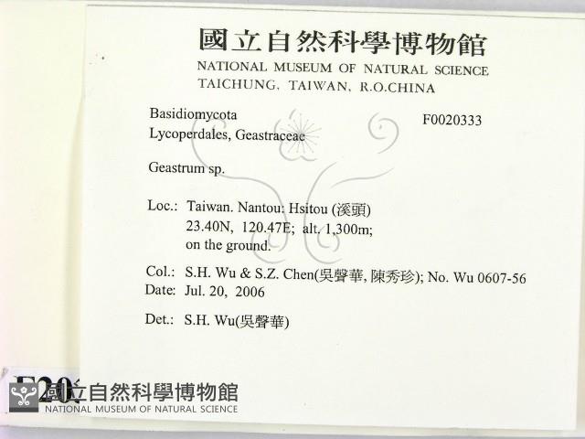 地星屬藏品圖，第2張