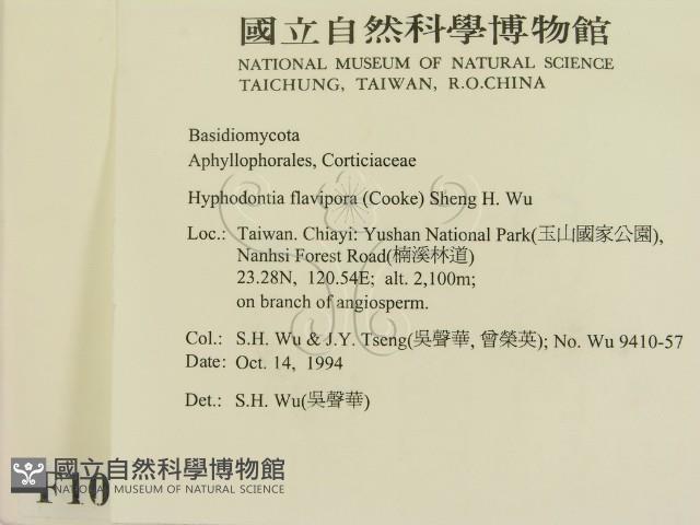 登錄號:F0010333藏品圖，第2張