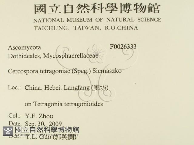 登錄號:F0026333藏品圖，第2張