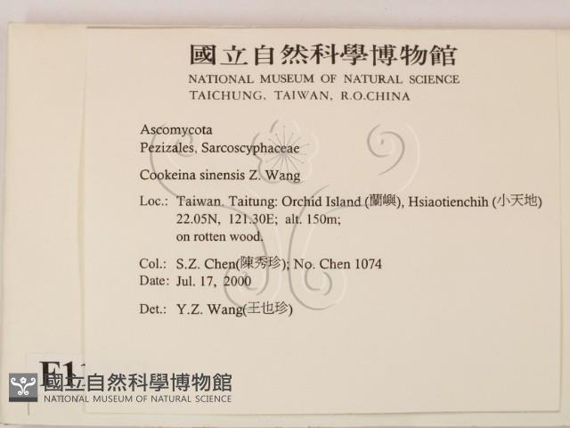 登錄號:F0011333藏品圖，第2張