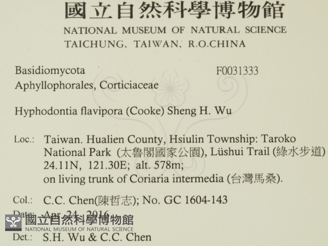 登錄號:F0031333藏品圖，第2張
