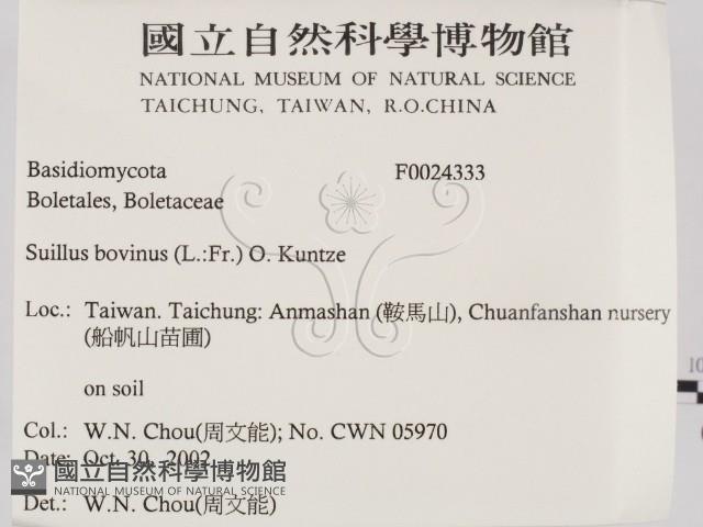 登錄號:F0024333藏品圖，第2張