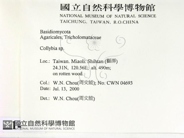 登錄號:F0014333藏品圖，第2張