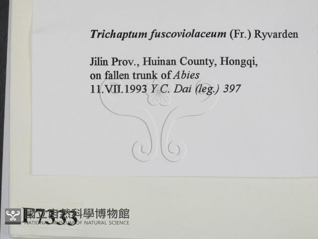 登錄號:F0007333藏品圖，第2張