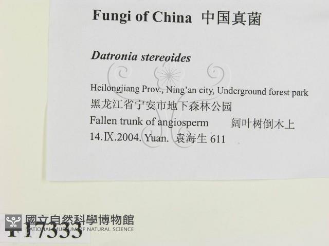 登錄號:F0017333藏品圖，第2張