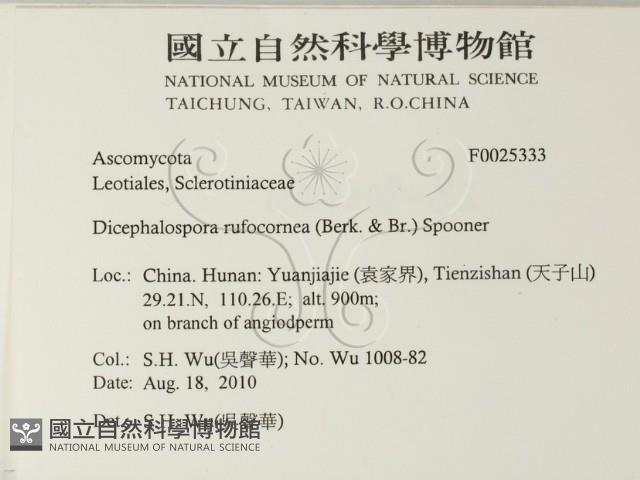 登錄號:F0025333藏品圖，第2張