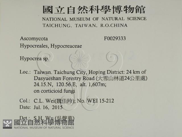 登錄號:F0029333藏品圖，第2張