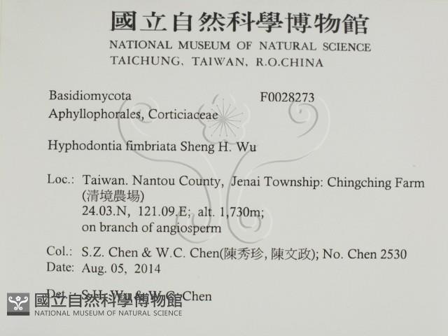 登錄號:F0028273藏品圖，第2張