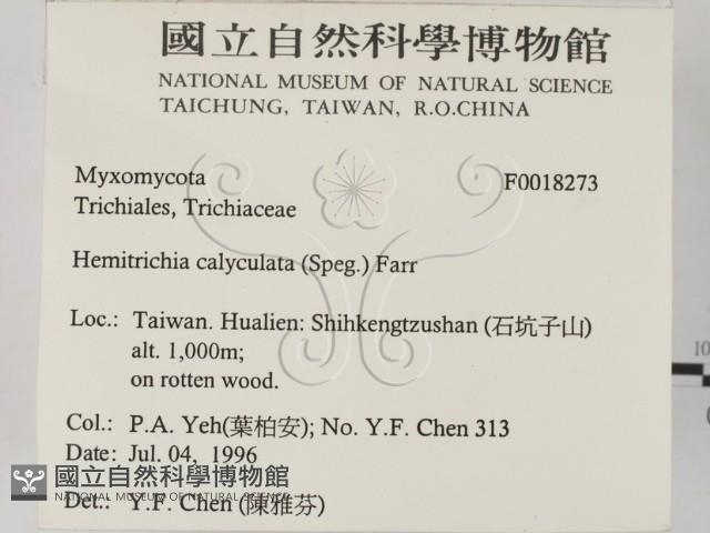 登錄號:F0018273藏品圖，第2張