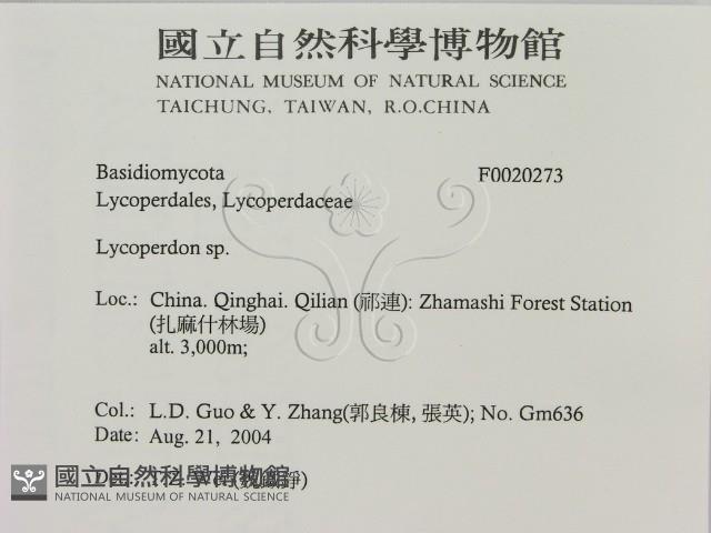 登錄號:F0020273藏品圖，第2張