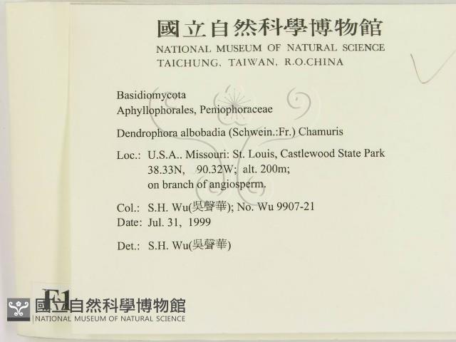 登錄號:F0010273藏品圖，第2張