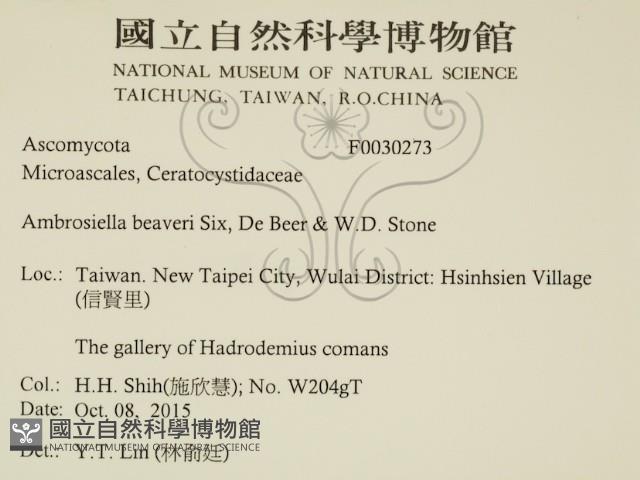 登錄號:F0030273藏品圖，第2張