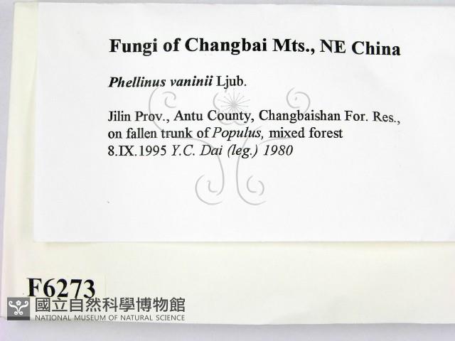 登錄號:F0006273藏品圖，第2張