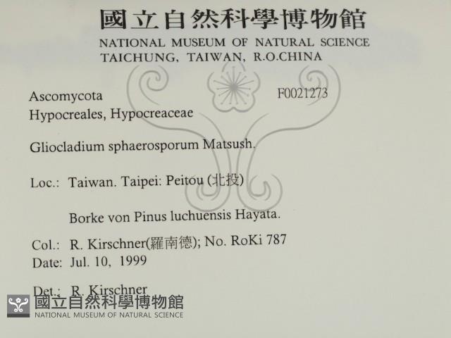 登錄號:F0021273藏品圖，第2張
