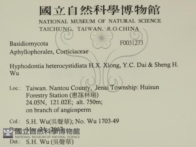 登錄號:F0031273藏品圖，第2張