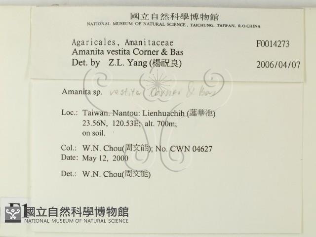 登錄號:F0014273藏品圖，第2張