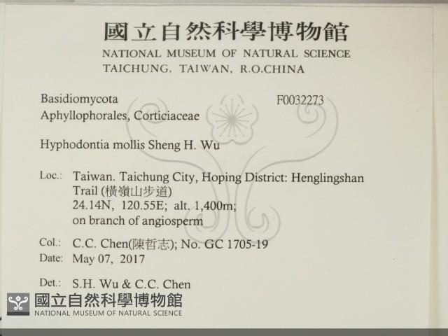 登錄號:F0032273藏品圖，第2張
