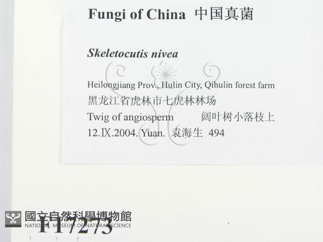 登錄號:F0017273藏品圖，第2張