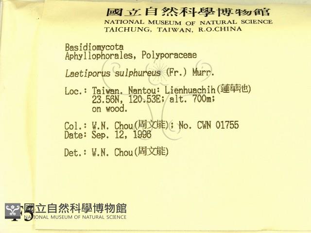 登錄號:F0005273藏品圖，第2張