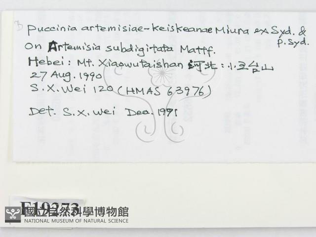 登錄號:F0019273藏品圖，第2張