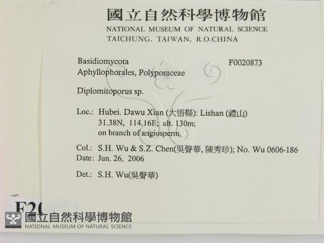 登錄號:F0020873藏品圖，第2張