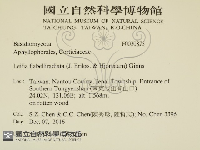 登錄號:F0030873藏品圖，第2張