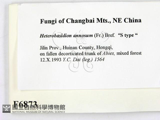 登錄號:F0006873藏品圖，第2張