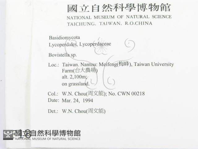 登錄號:F0001873藏品圖，第2張