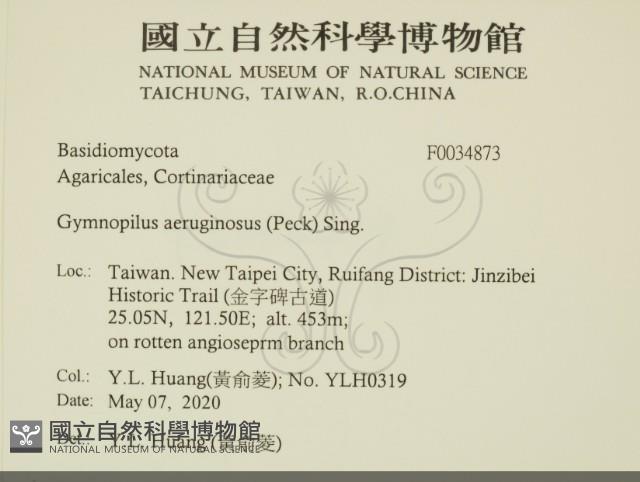 登錄號:F0034873藏品圖，第2張