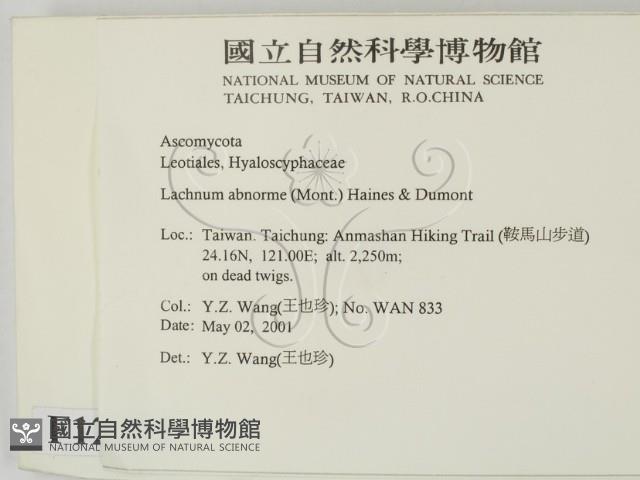 登錄號:F0012873藏品圖，第2張