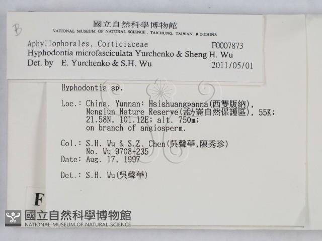 登錄號:F0007873藏品圖，第2張