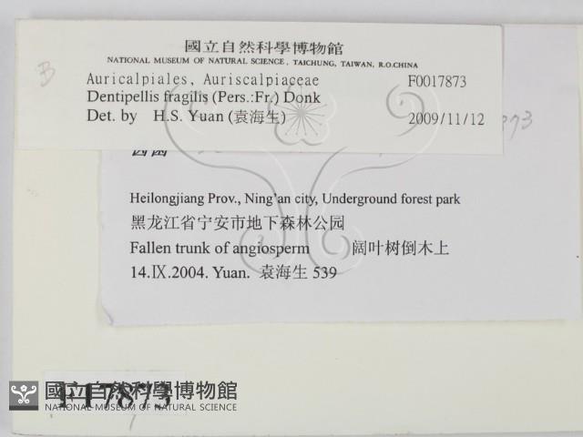登錄號:F0017873藏品圖，第2張