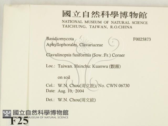 登錄號:F0025873藏品圖，第2張