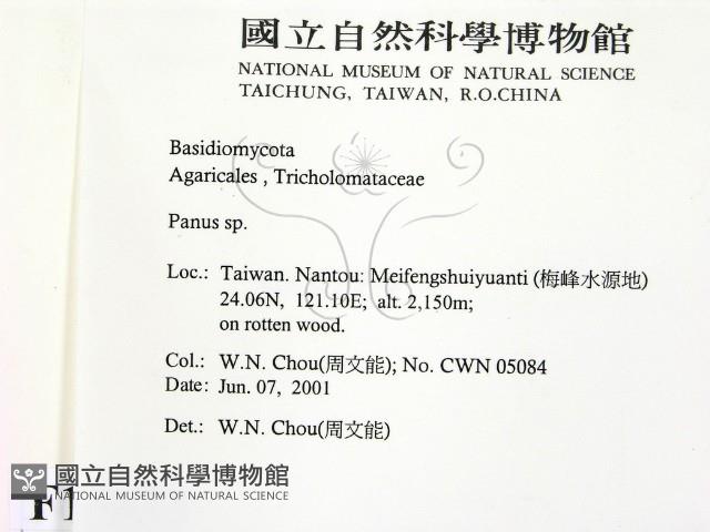 登錄號:F0015873藏品圖，第2張