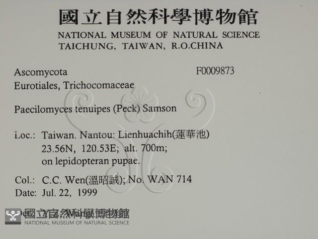登錄號:F0009873藏品圖，第2張