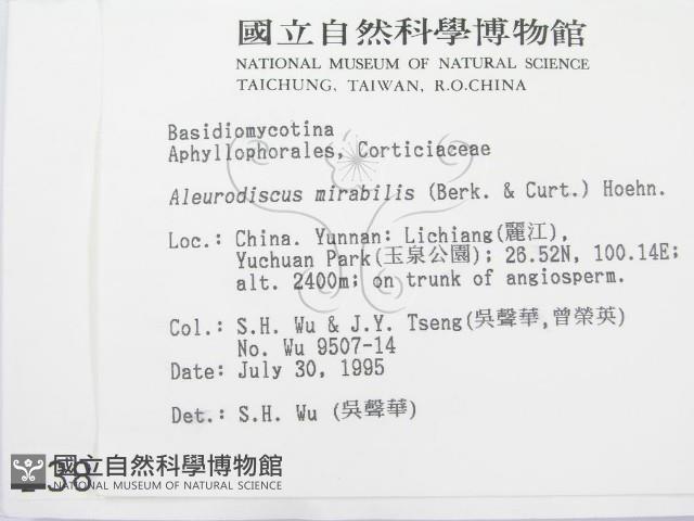 登錄號:F0003873藏品圖，第2張