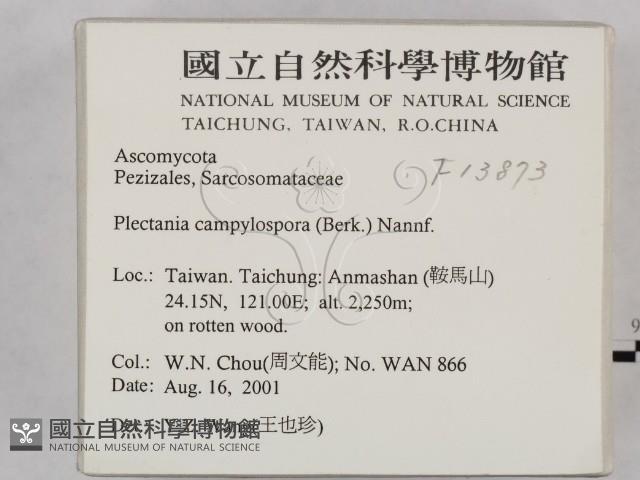 登錄號:F0013873藏品圖，第2張