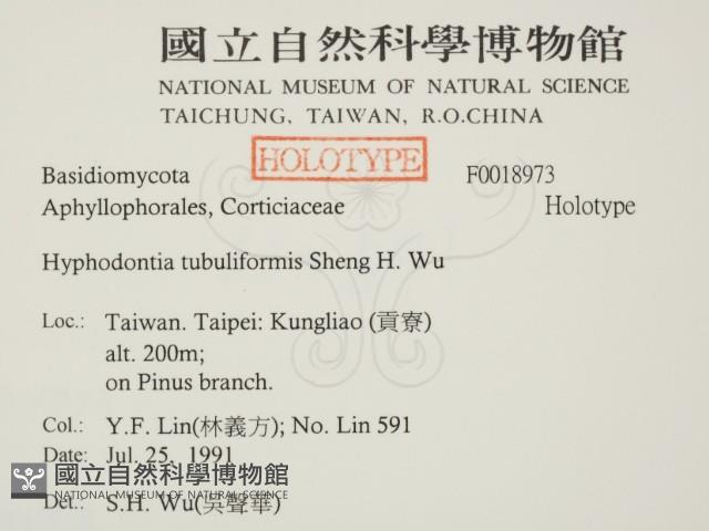登錄號:F0018973藏品圖，第1張